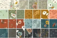 Woodland Wildflowers