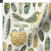 Birds & Feathers